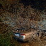 Hadley, NY – 16-Year-Old Killed in Fatal Crash on Antone Mountain Road