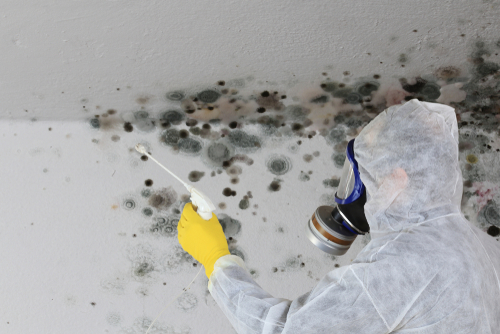 person in suit spraying mold