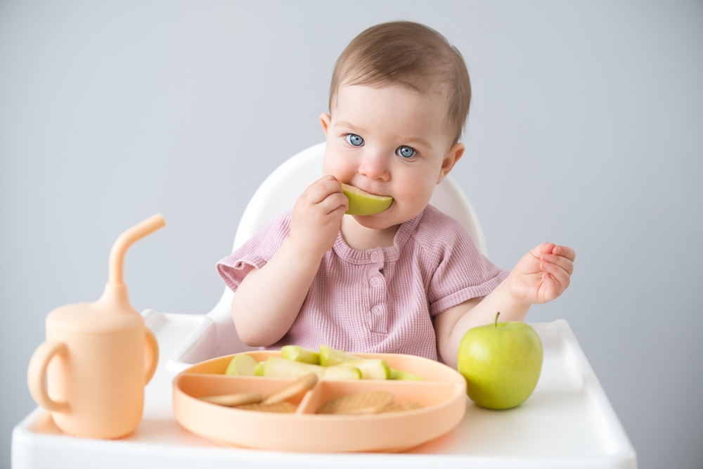 cute baby eating solid food sitting in a baby chair. weaning